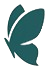 Pupa Flow Logo
